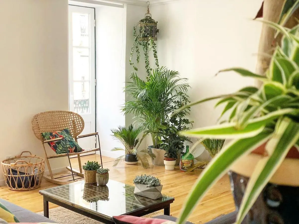 فندق Lisboaفي  Fauna & Flora البرتغال