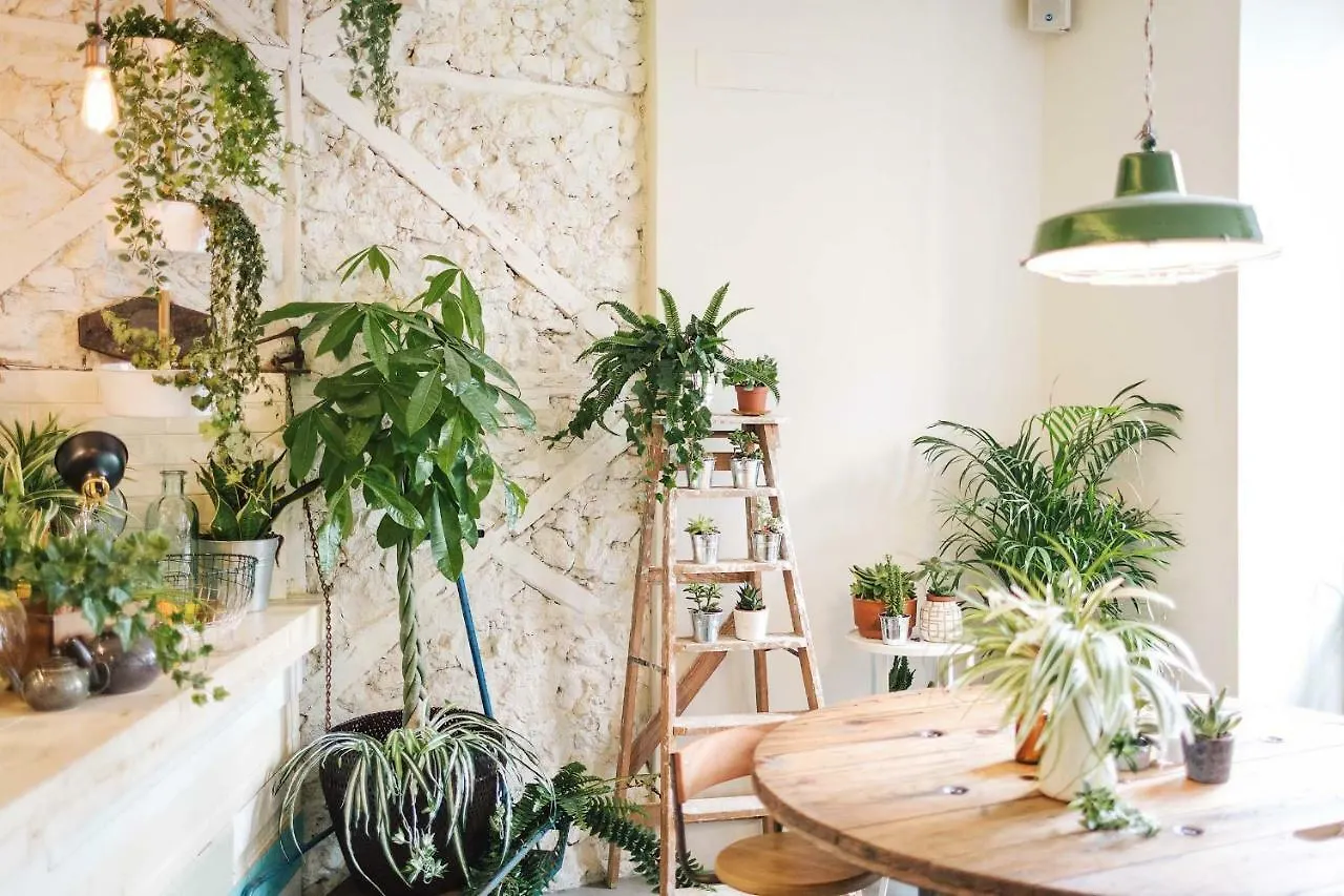 فندق Lisboaفي  Fauna & Flora 0*, Lisboa